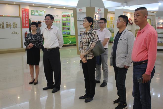 南宁市保稳定促发展第十一督导组第二督导小组莅临皇氏集团调研