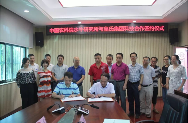 水牛奶产业将再上新台阶！中国农业科学院水牛研究所与皇氏集团科技合作签约仪式圆满成功！