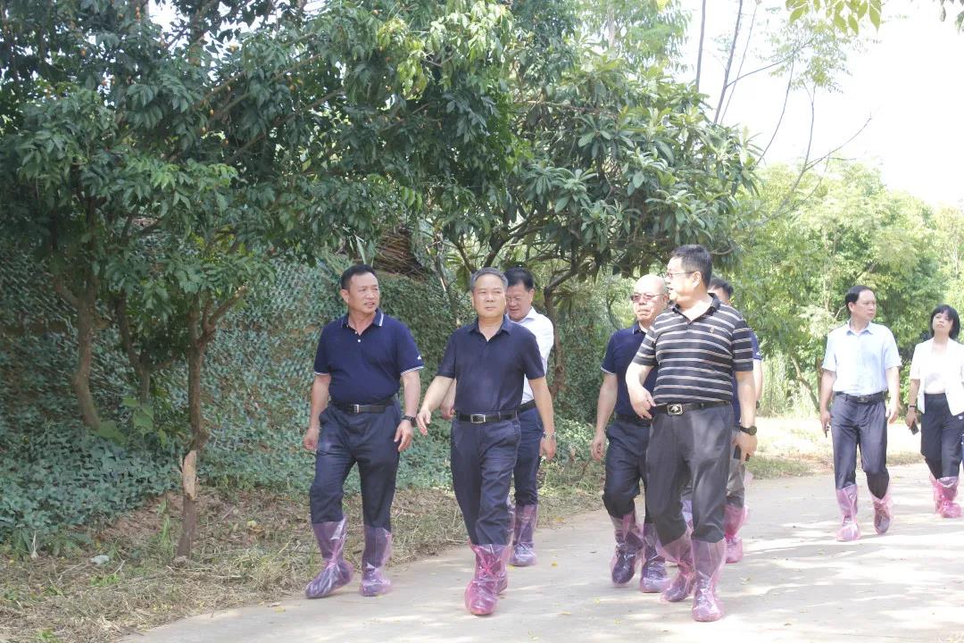 自治区政协副主席黄洲一行莅临皇氏集团摩拉菲尔奶水牛观光牧场调研