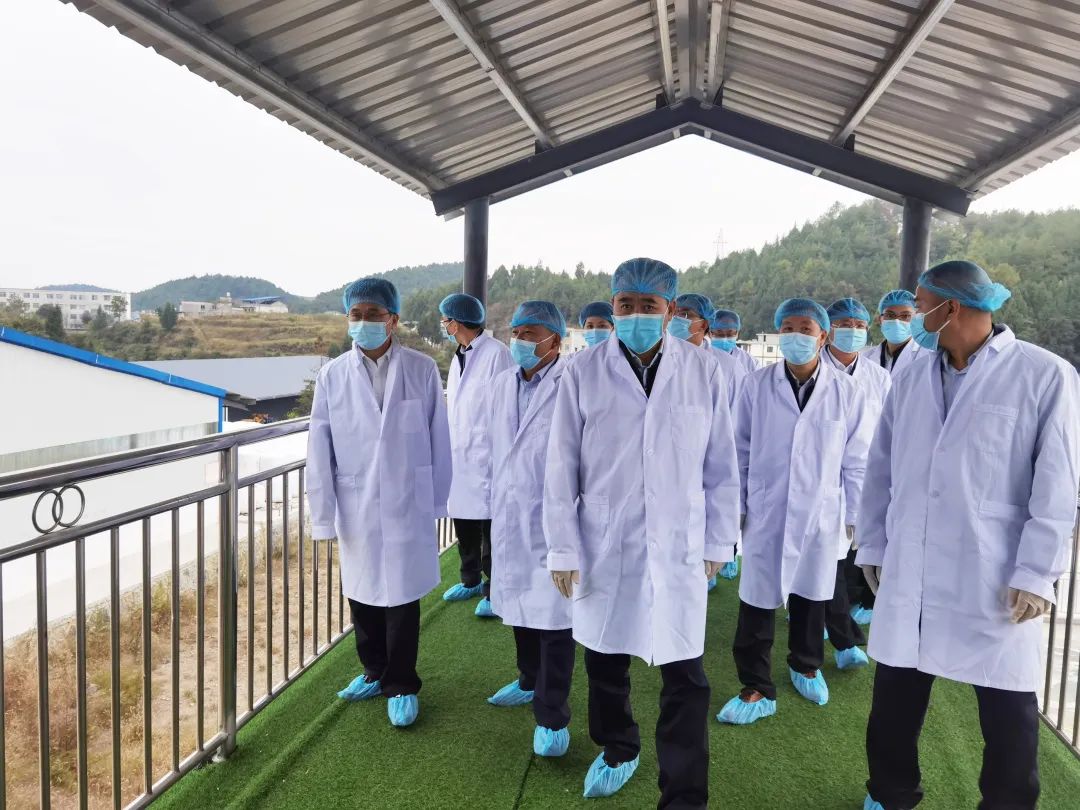 贵州省人大常委会副主任桑维亮莅临皇氏集团遵义乳业德江德源牧场调研